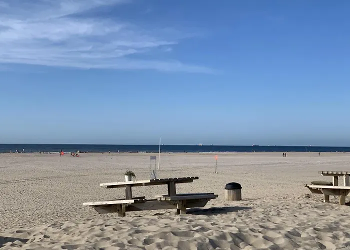 Chalet Kijkduin - 870