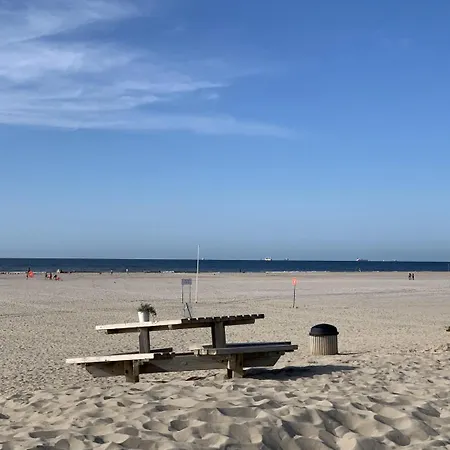 Alpesi faház Kijkduin - 870